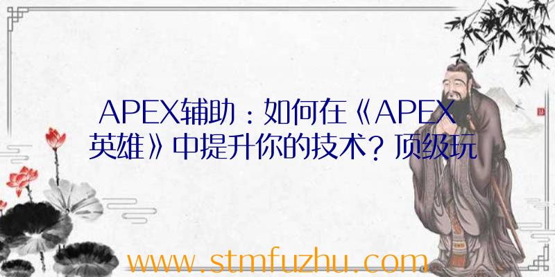 APEX辅助：如何在《APEX